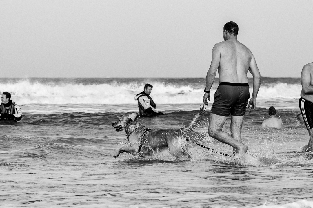 Hond rent de zee in met z'n baasje